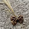 MOÑO LEOPARDO
