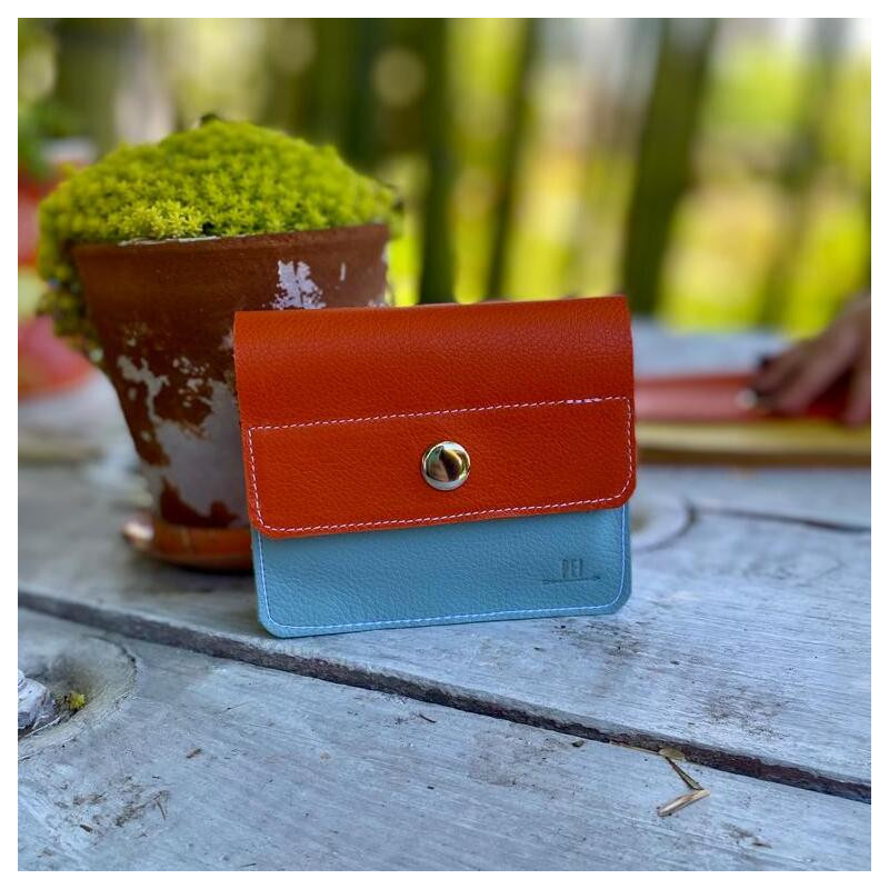 BILLETERA ACORDEÓN · CELESTE+