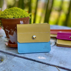 BILLETERA ACORDEÓN · CELESTE+