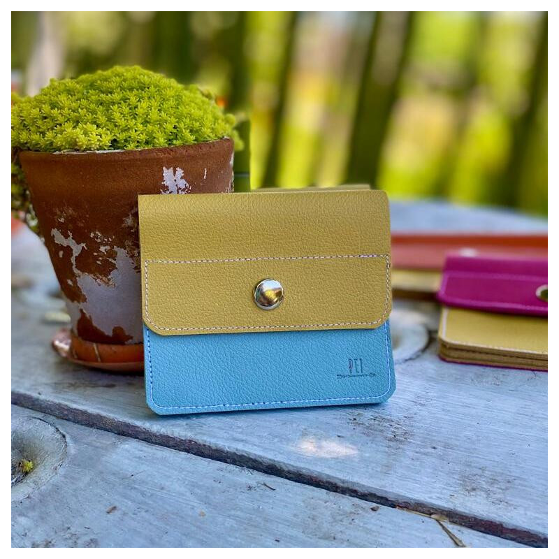 BILLETERA ACORDEÓN · CELESTE+