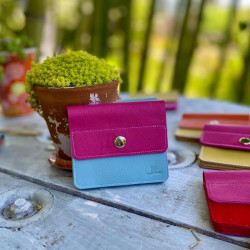 BILLETERA ACORDEÓN · CELESTE+