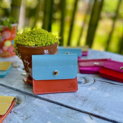 BILLETERA ACORDEÓN · ANARANJADO+